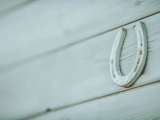 Jaskółka: Symbol szczęścia, nadziei i wierności. Poznaj jej moc!