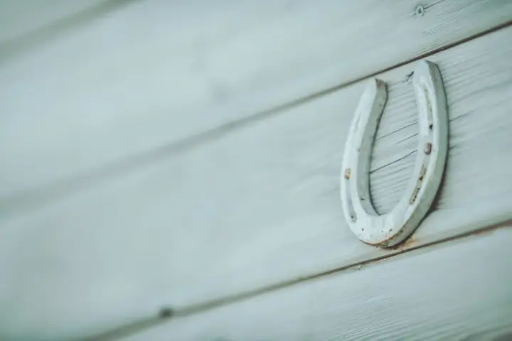 Jaskółka: Symbol szczęścia, nadziei i wierności. Poznaj jej moc!